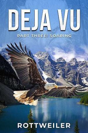 Deja Vu Part Three: Soaring