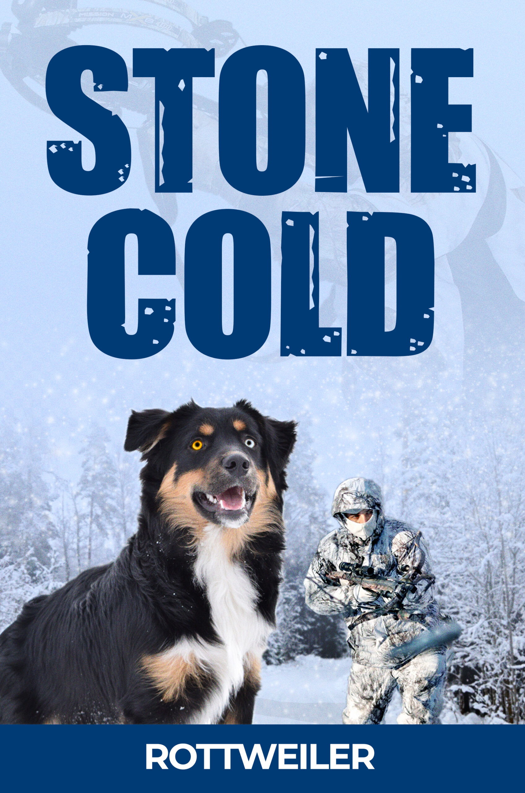 Stonecold Cover2